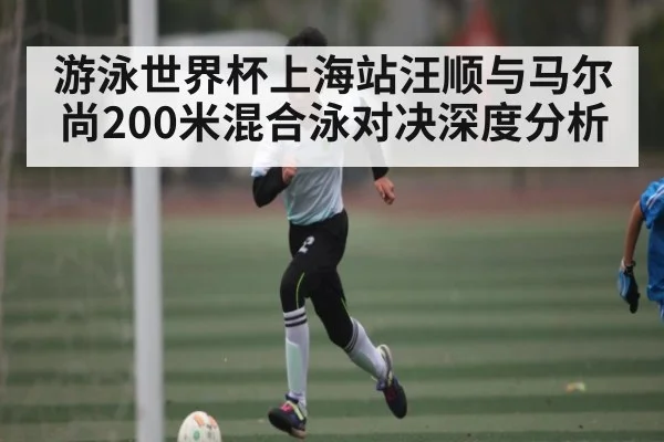 游泳世界杯上海站汪顺与马尔尚200米混合泳对决深度分析